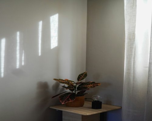 A neat home office desk setup with natural sunlight coming from the side window